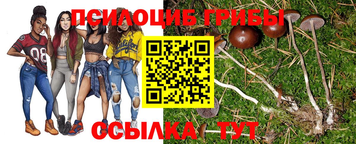 Галлюциногенные грибы Psilocybine cubensis Амурск