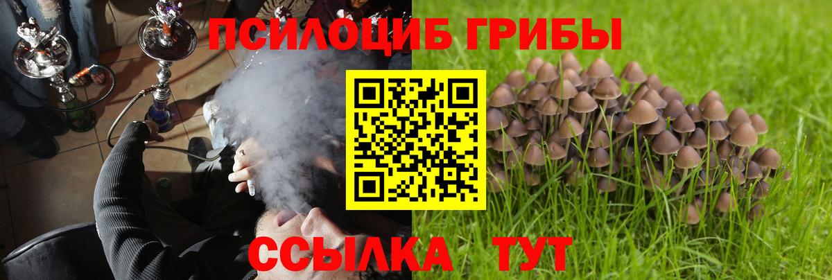 Амурск  сколько стоит  Вход с VPN  Псилоцибиновые грибы Magic Shrooms 